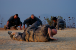 Two veteran stretch legs after 8 hours, akban 24, 2005