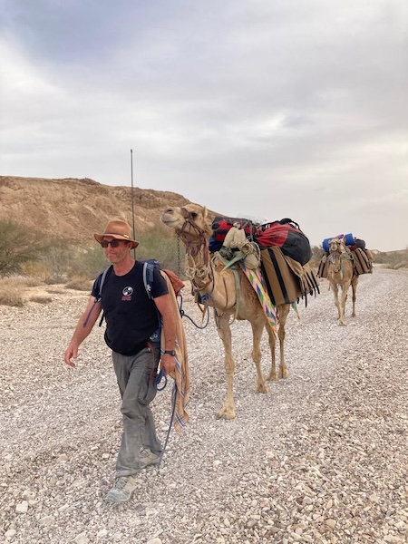 Dan Hashimshony walking with two fully loaded camels in caravan formation