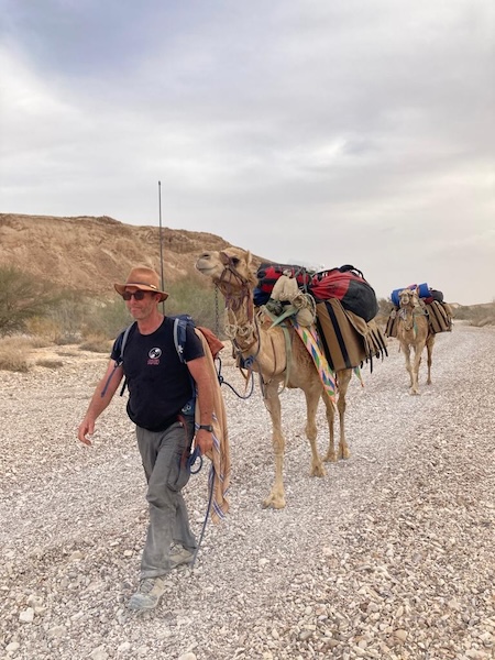 דן השמשוני מדגים הליכת שיירה עם שני גמלים עמוסי ציוד