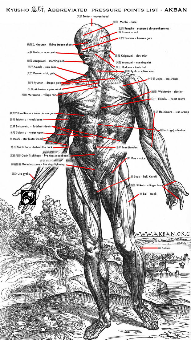 Kyusho - Ninjutsu pressure points chart